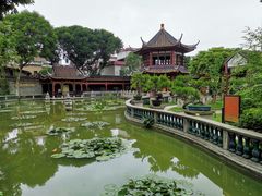-碧江金楼