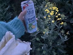 -汉长安城未央宫国家考古遗址公园