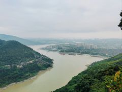 -铁山坪森林公园