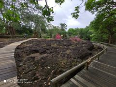 -海口火山口国家地质公园