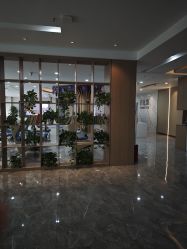 -碧莲盛·不剃发植发