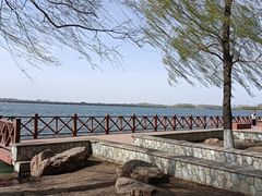 -丁香湖公园