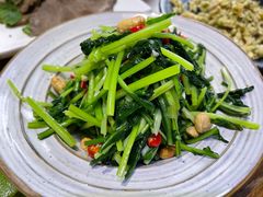 凉拌板蓝根-云上千禾(水上店)