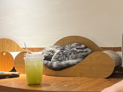 -有猫主题·治愈系猫咖(曾厝垵店)