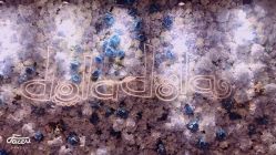 -doladola(徐家汇店)
