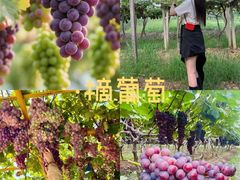-上海山野camping·户外天幕烧烤·团建拓展营地