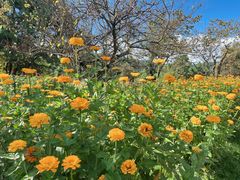 -名花谷生态庄园