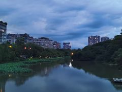 -金山公园