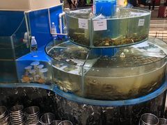 -四海蒸鲜蒸汽海鲜自助(北戴河店)