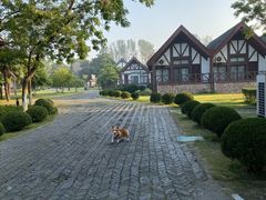 -太阳岛度假酒店