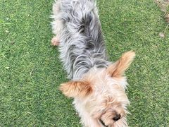 -安德鲁户外烧烤帐篷营地(马泉营店)