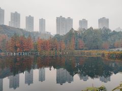 -重庆彩云湖湿地公园