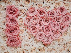 -BEAST野兽派(上海浦东嘉里城店)