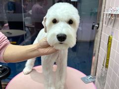 -FAELING PETS美天灵宠物(富力广场店)