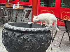 -府学·秋果S酒店(北京南锣鼓巷四合院店)