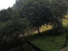 -韶山毛泽东同志故居