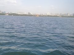 -西湖外事游船(花港观鱼码头)