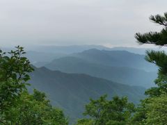 -王顺山国家森林公园