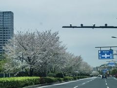 -良渚文化村