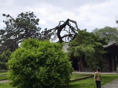 -北陵公园