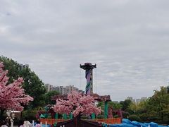 -南湖梦幻岛