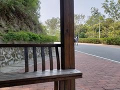 -火炉山森林公园