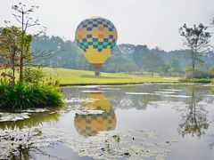 -中国科学院西双版纳热带植物园