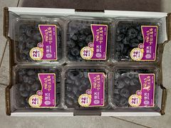 -堤口果品批发市场