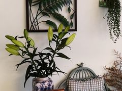 -馨园villa融合菜(东山店)