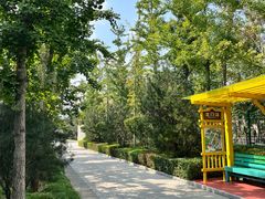 -南宫五洲植物乐园