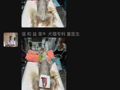 -谐和益家动物医院·免疫绝育·血液透析·宠保定点医院(高新伊藤分院)