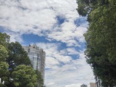 -重庆希尔顿酒店