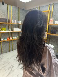 -付军剪艺