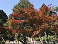 -陕西师范大学(雁塔校区)
