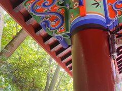 -丰都鬼城名山景区
