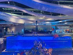 -一方渔歌蒸汽海鲜自助(文化路万达广场店)