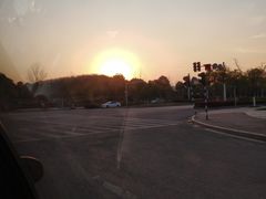 -羊山湖公园