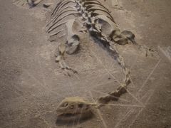 -世界恐龙谷景区