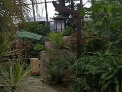 -瑞阁温泉酒店温泉中心