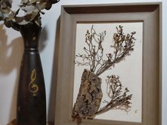 -参差咖啡(水果湖公园店)