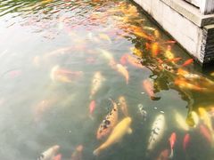 景点-荆川公园