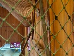 -北海金海湾红树林生态旅游区