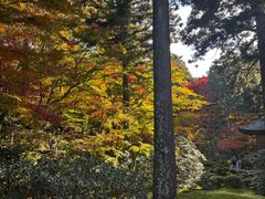 -三千院