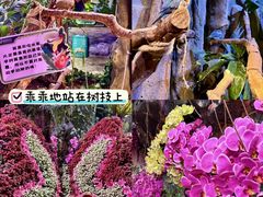 -正佳雨林生态植物园