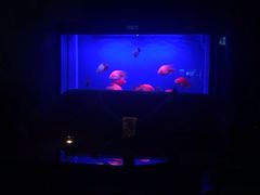 -柒Lounge(三里屯店)
