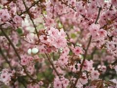 android_upload_pic-紫竹院公园冰场