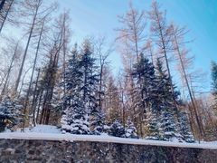 -长白山万达喜来登度假酒店
