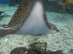 -福州罗源湾海洋世界旅游区