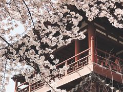 -西安青龙寺遗址景区