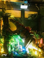 -恐龙探索乐园(磁器口店)